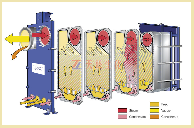 板式蒸發示意圖.png